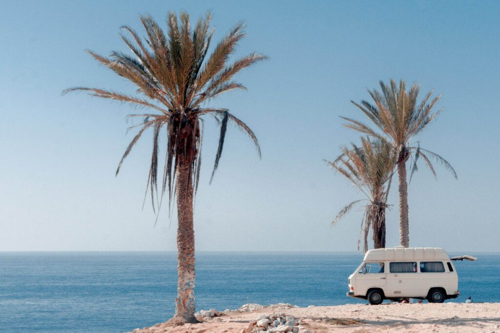 palms and a camping van at Anchor Point, Taghazout
