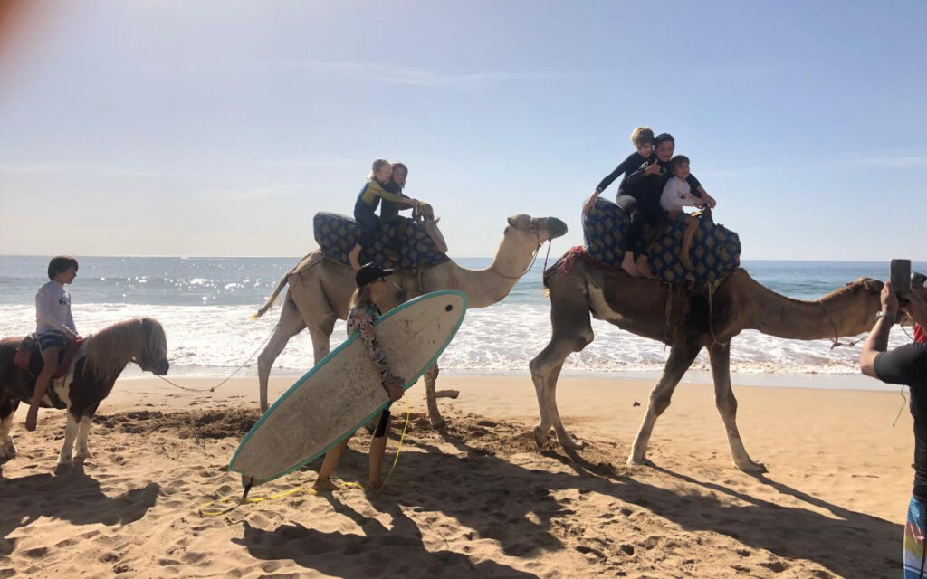camels riding on the beach of tamraght southern morocco agadir